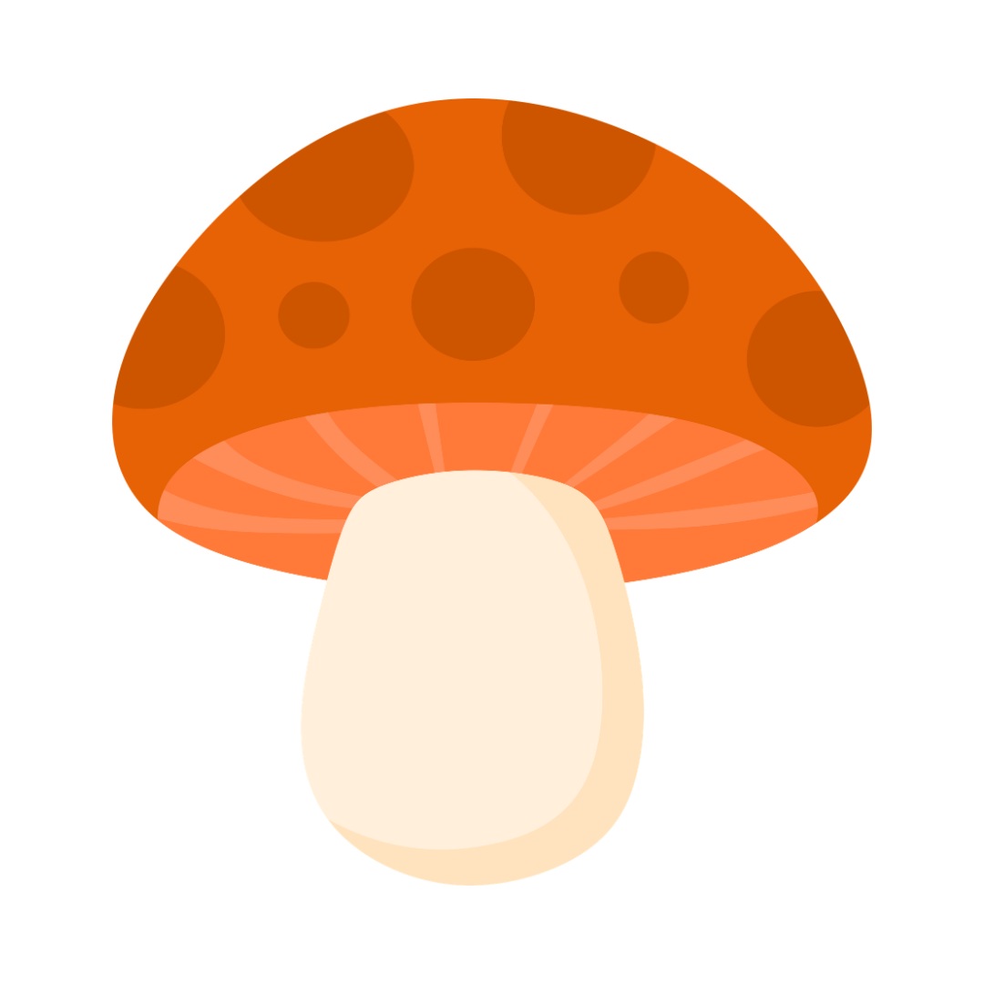 Świat grzybów