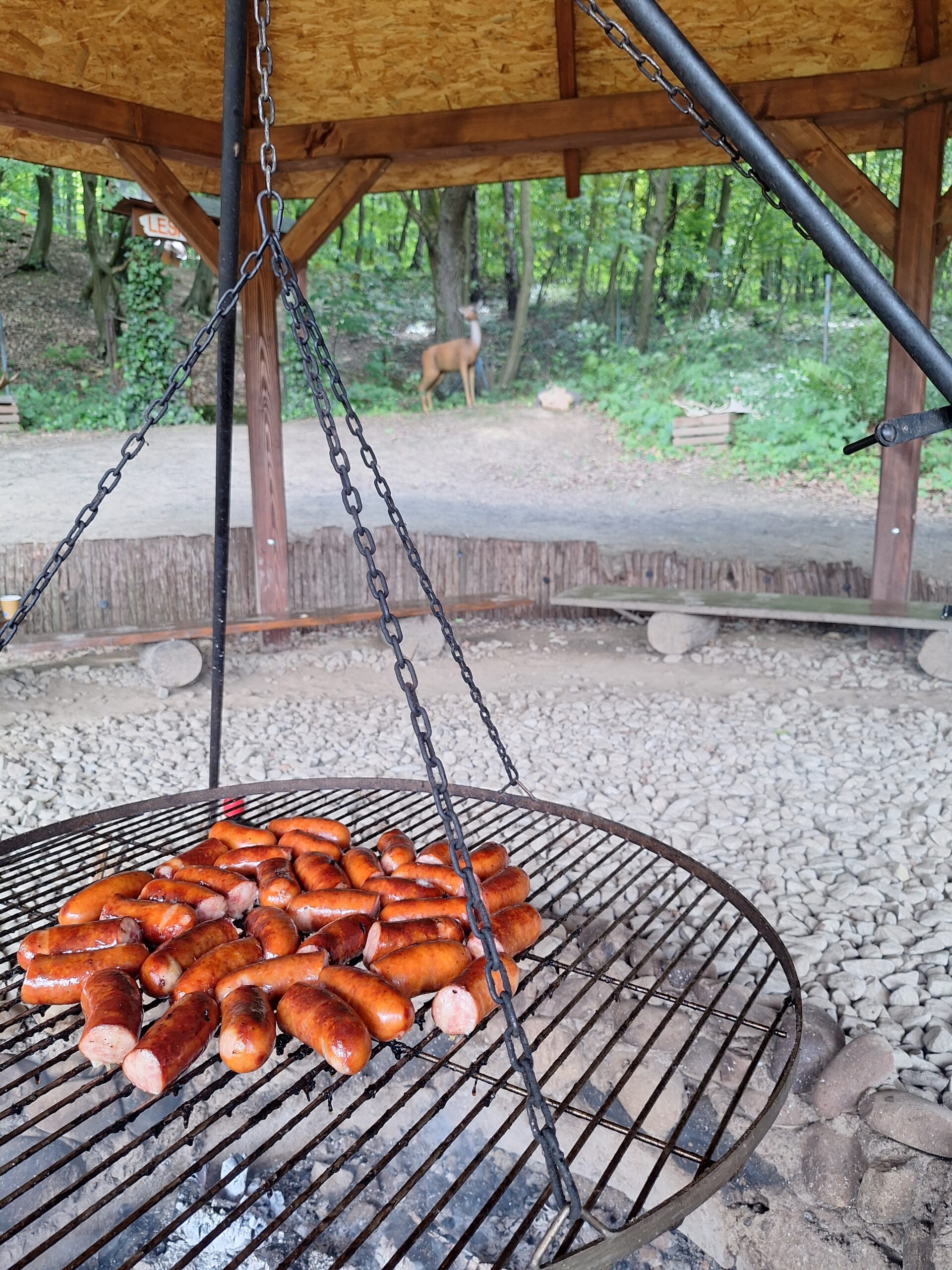 Ognisko i zakończenie